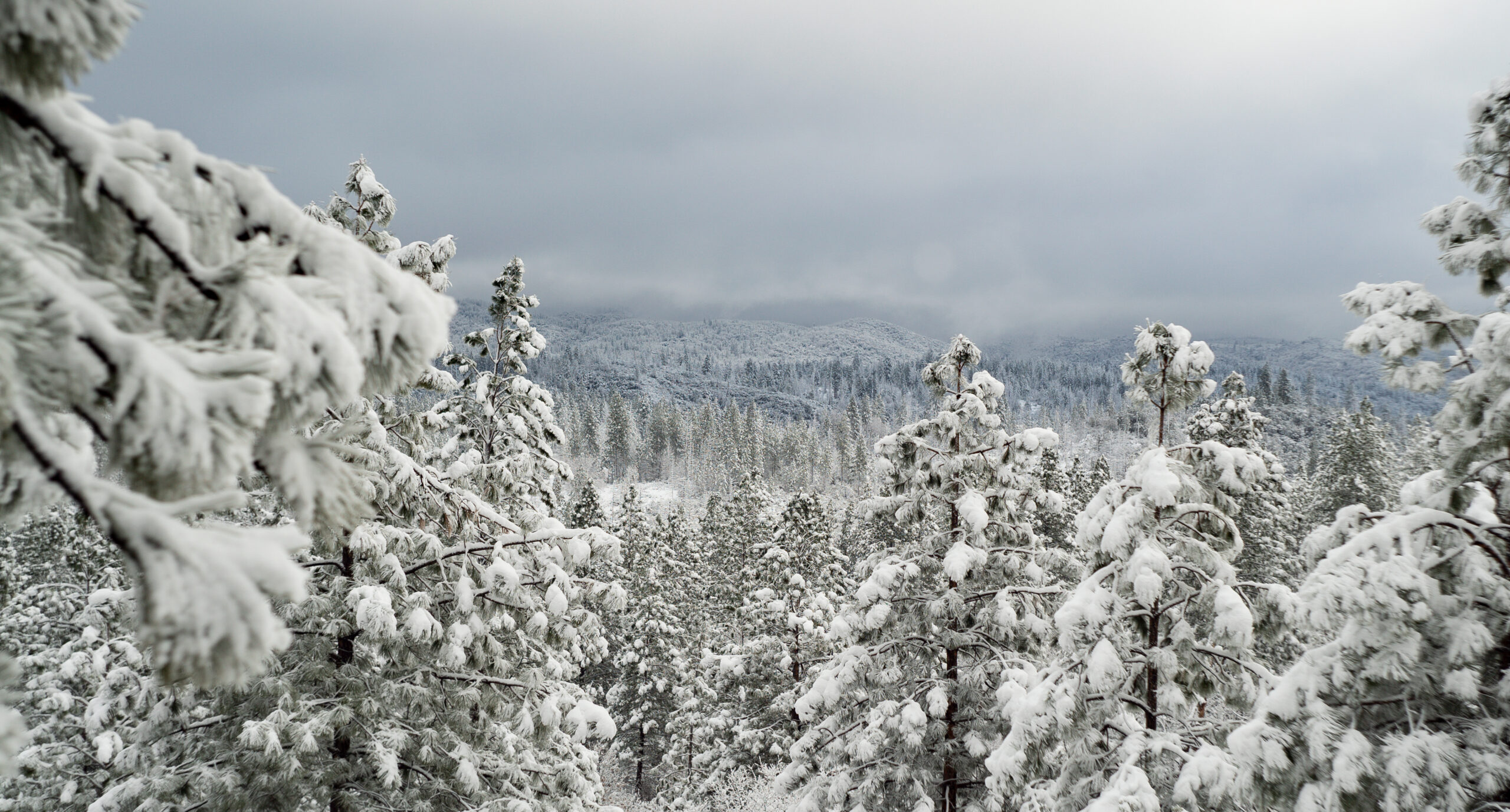 Yosemite Photography: Winter Photo Tips