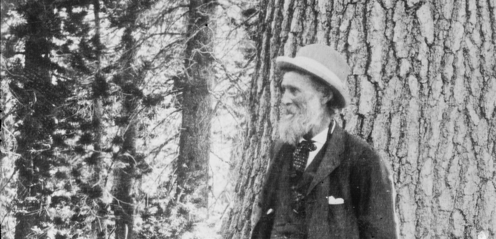 Who is John Muir?