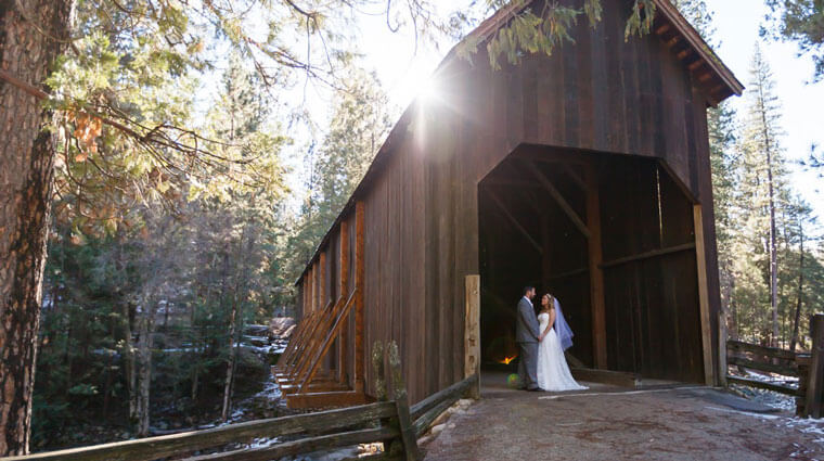 The Redwoods in Yosemite Weddings