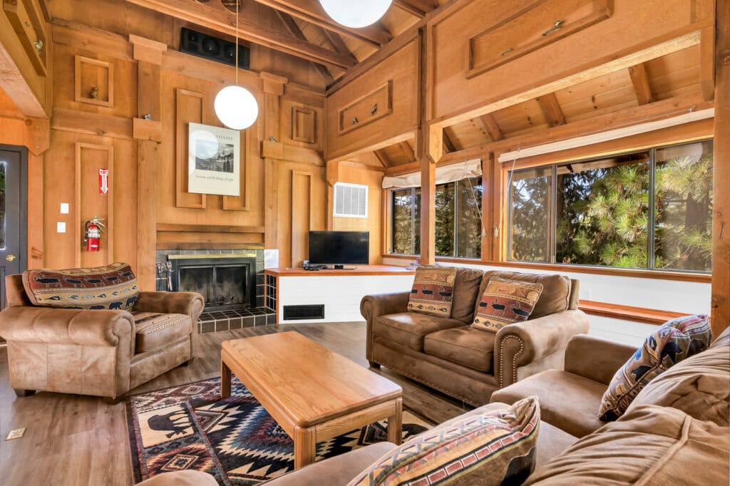 living room with fireplace and television