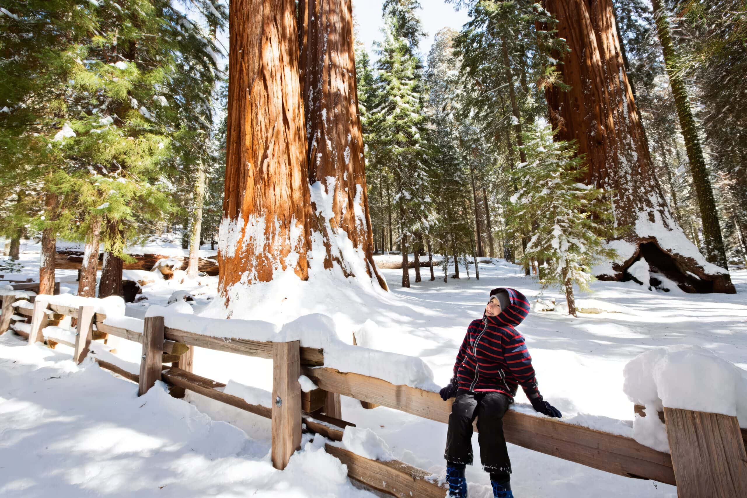 Goat Meadow Snow Play Area Near Yosemite