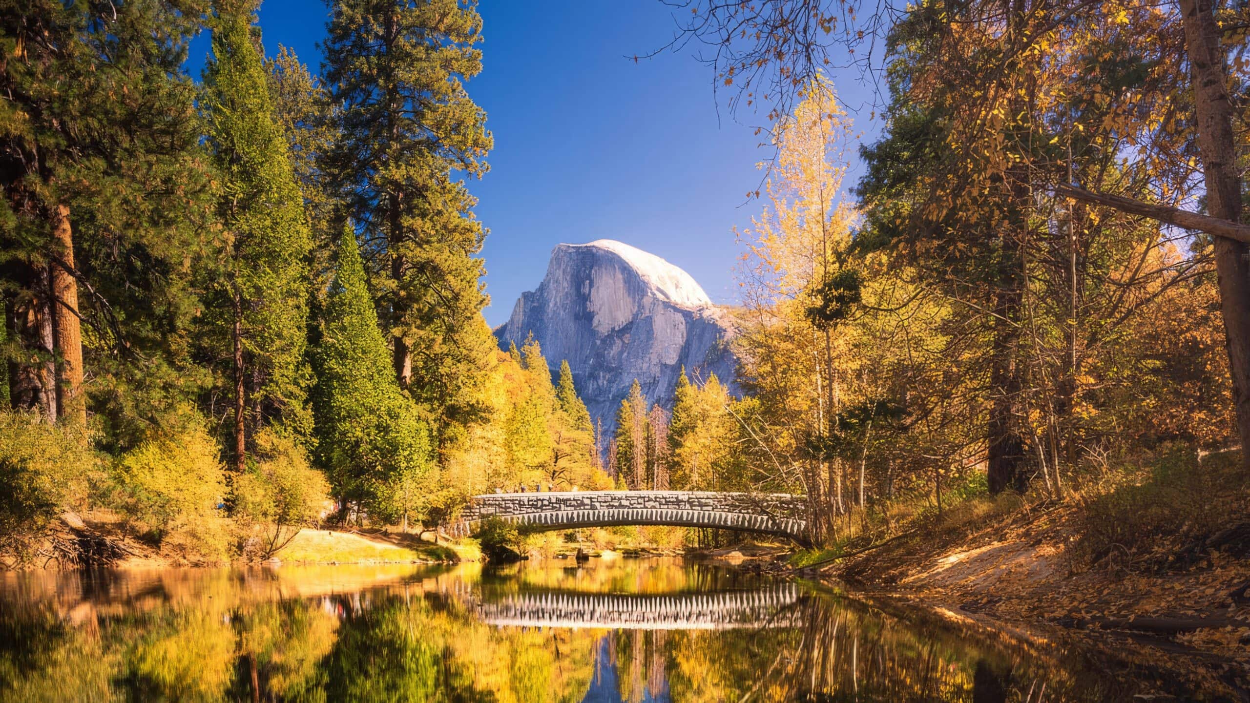 Color Me Autumn: Leaf Peeping Yosemite Mariposa County