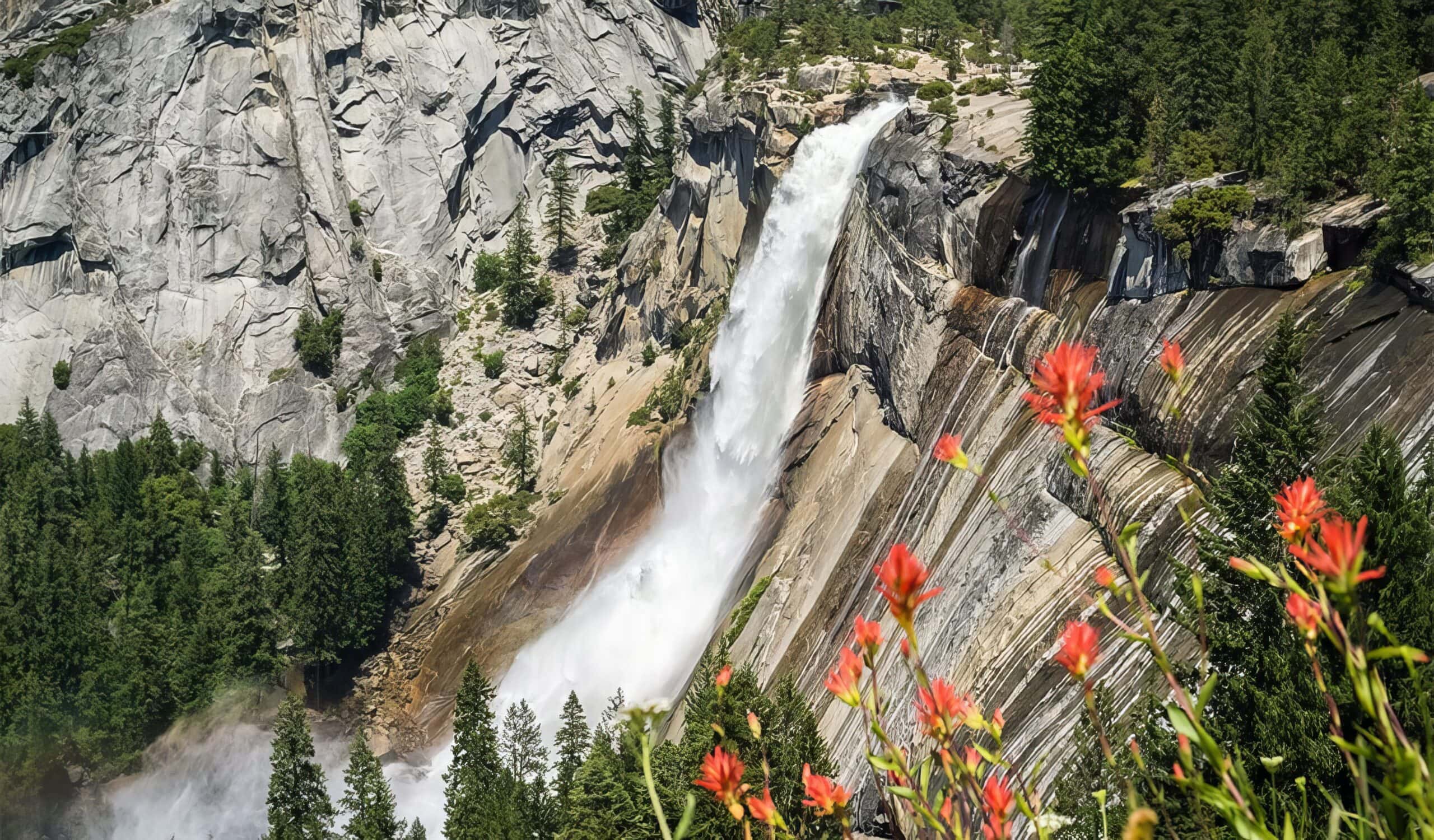 Winter-Wrapped Spring: Yosemite Mariposa County’s Secret Season