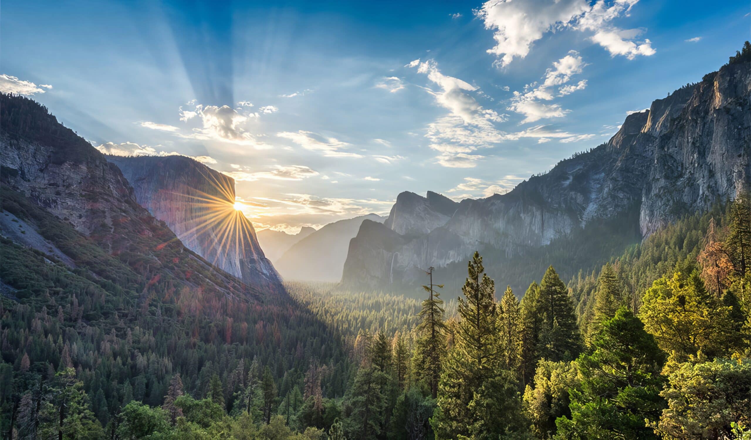 Travel with Purpose in Yosemite Mariposa County