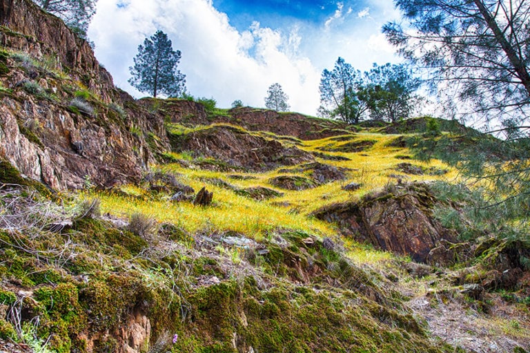 Dry Gulch Campground Discover Yosemite National Park