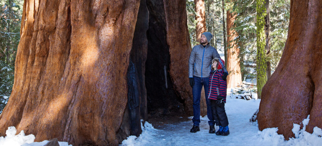 Yosemite Holiday Getaway: 4 Days With the Family