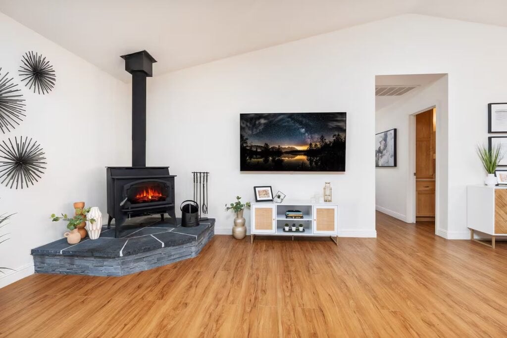 wood stove and television