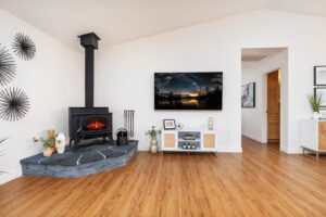 wood stove and television